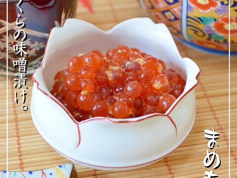 ご飯のお供にピッタリ♪筋子の味噌漬け